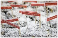 Kliknij by zobaczyć! Highslide JS